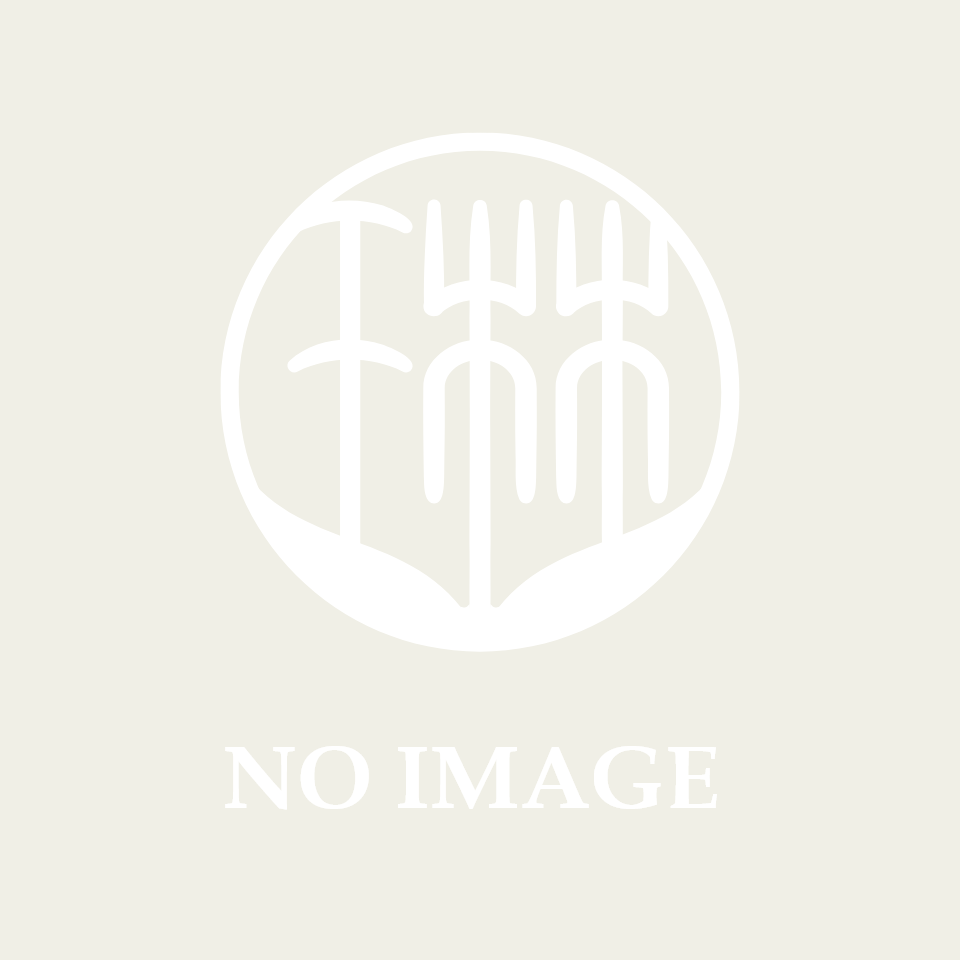 プレースホルダー