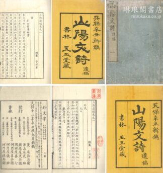 山陽遺稿 文十巻 詩七巻 附拾遺