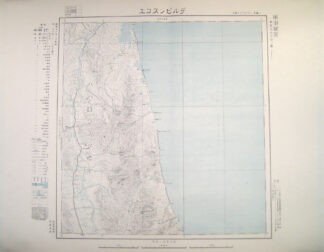 デルビンスコエ 東亜五十万分一図