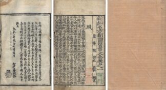 新編名方類証医書大全 二十四巻