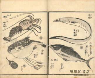 画本早満奈飛 三篇