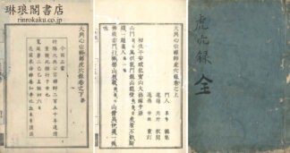 大興心宗禅師虎穴録